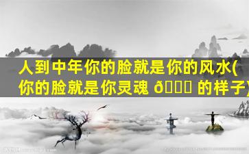人到中年你的脸就是你的风水(你的脸就是你灵魂 🕊 的样子)